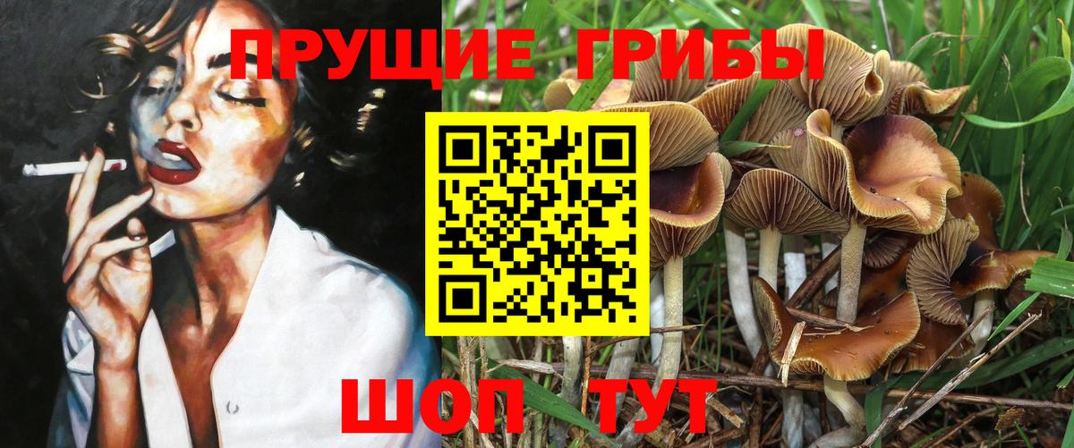 Нижнекамск  Галлюциногенные грибы мухоморы  Псилоцибиновые грибы Cubensis  Вход с VPN 