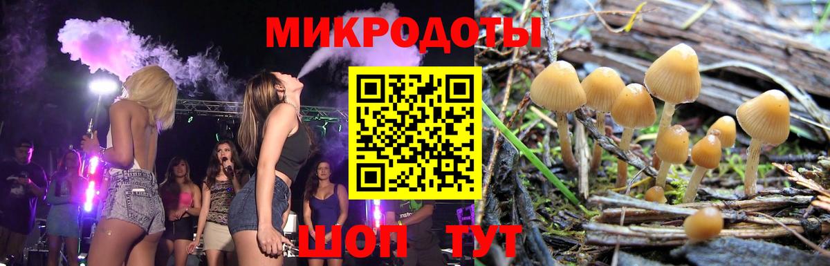 Псилоцибиновые грибы GOLDEN TEACHER Нижнекамск